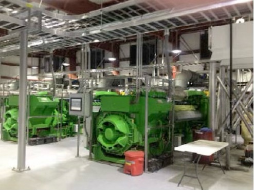 Biomass